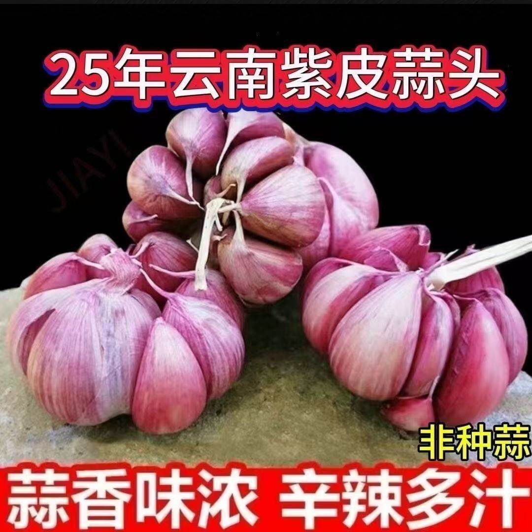 云南大理2025新季紫皮大蒜头干货红皮多瓣香蒜5斤装农家自种