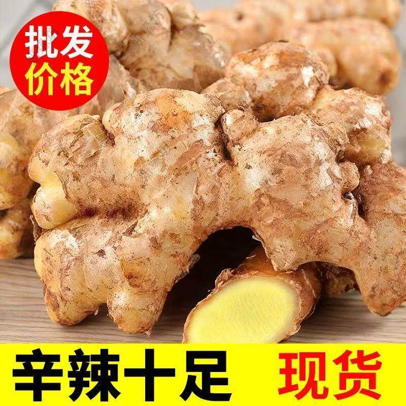 正宗山地小黄姜云南现挖老姜姜母姜块月子姜新鲜整箱蔬菜批量发售
