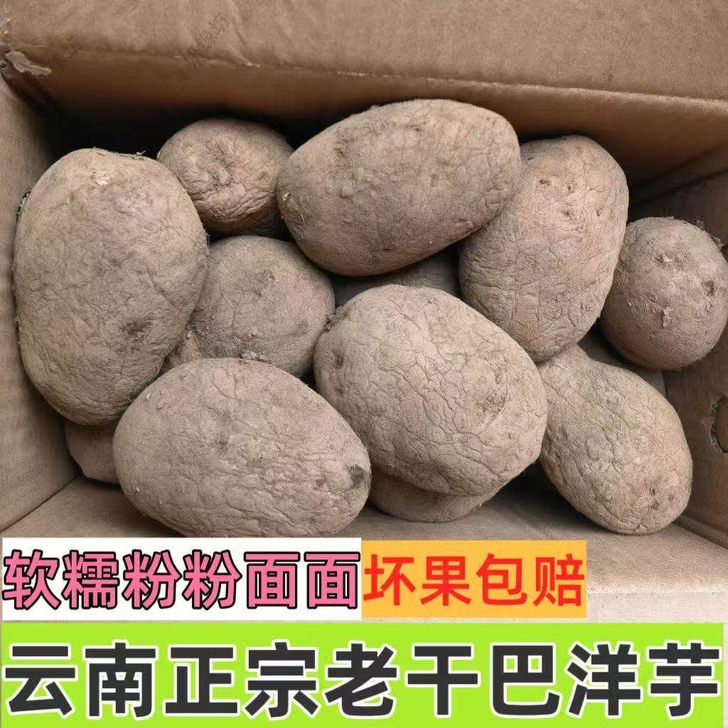 贵州特产昭通老品种憨包土豆云南老干巴洋芋奄瘪老土豆腌巴洋芋