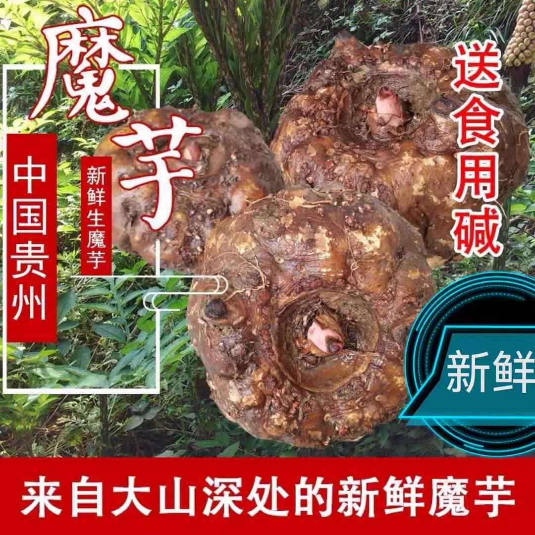 农家自种贵州高山魔芋头粉片制做豆腐原料批发大果现发食用送碱