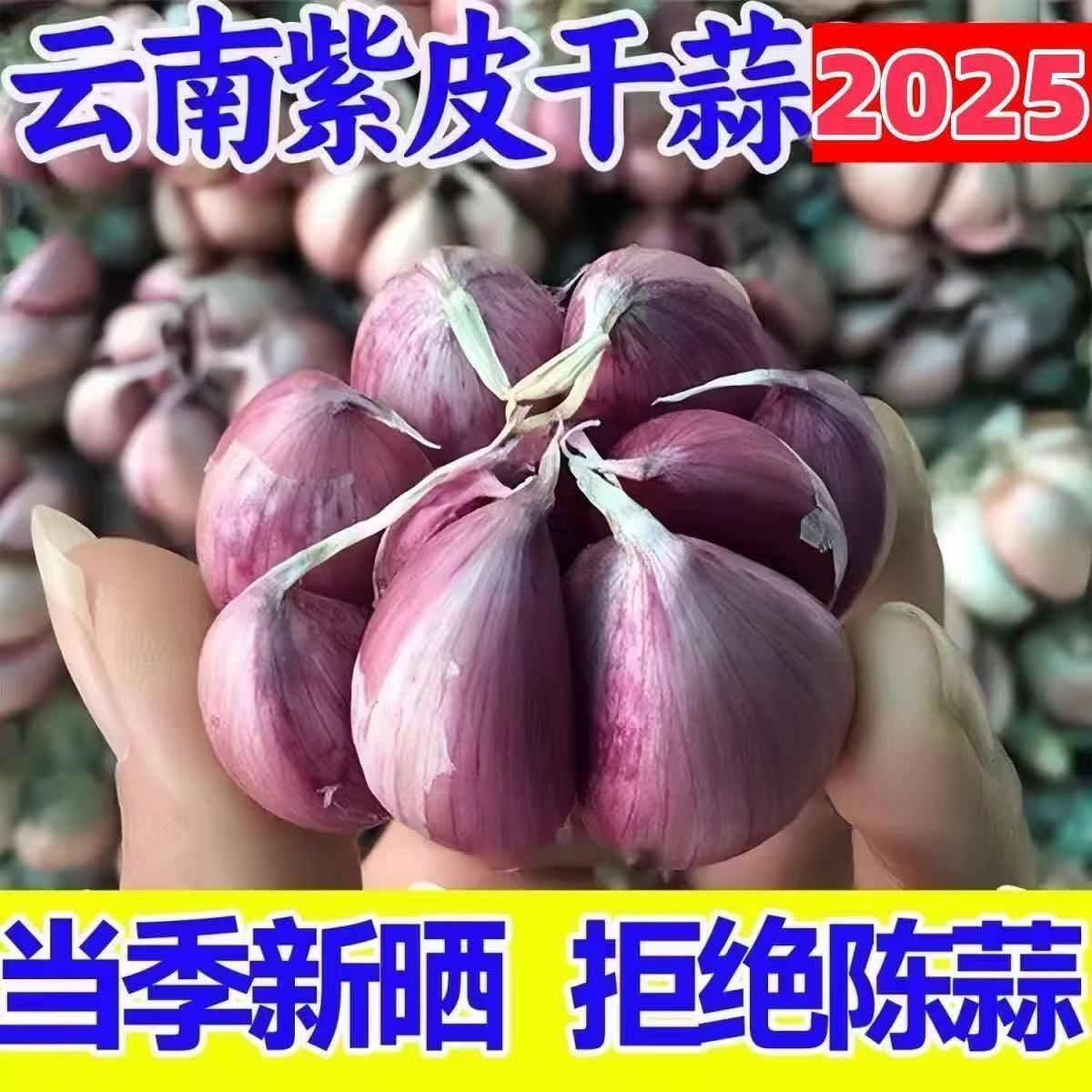 云南紫皮大蒜头2025新货干蒜红皮多瓣5斤香蒜农家自种特产