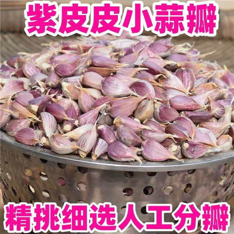 云南紫皮大蒜种蒜可栽种老品种红皮土香蒜籽能抽蒜苔有蒜苗