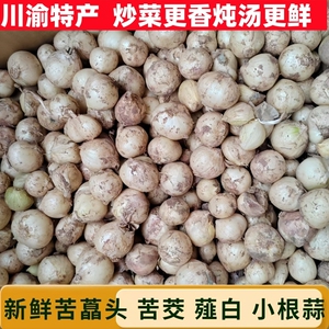 四川鲜品苦藠团蒜小蒜野葱头苦茭头圆蒜小洋葱头食用佳品薤白
