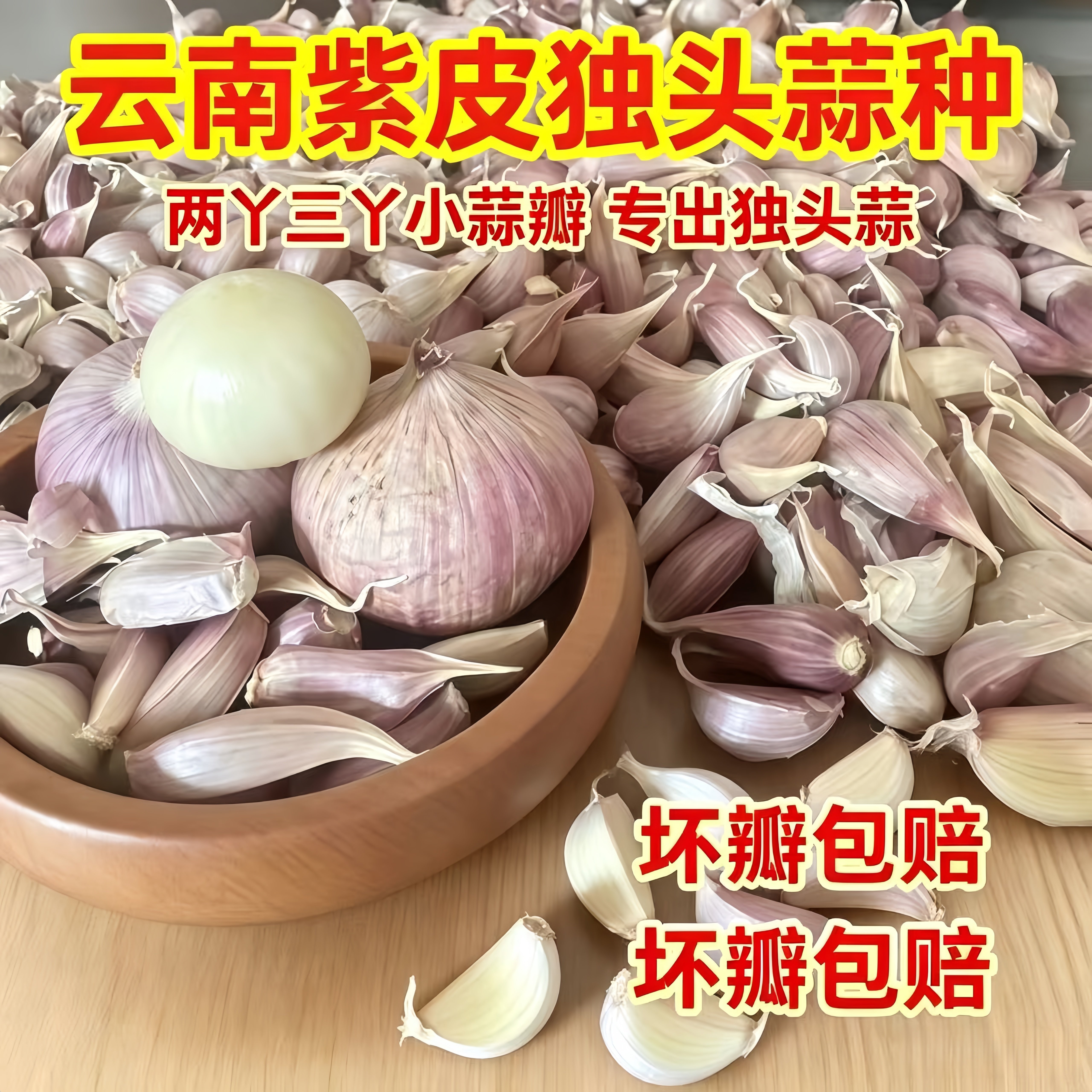 云南紫皮独蒜种籽2026年紫红紫皮大蒜种子紫皮独头蒜蒜种新蒜
