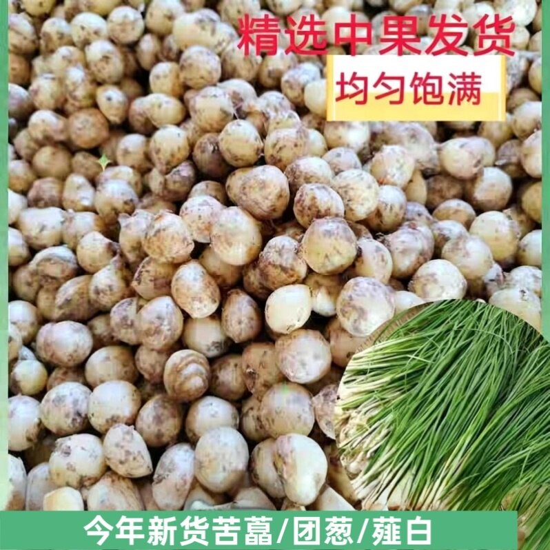 四川特产苦藠新鲜团蒜小蒜野苦茭野葱头圆蒜小头蒜薤白洋蒜