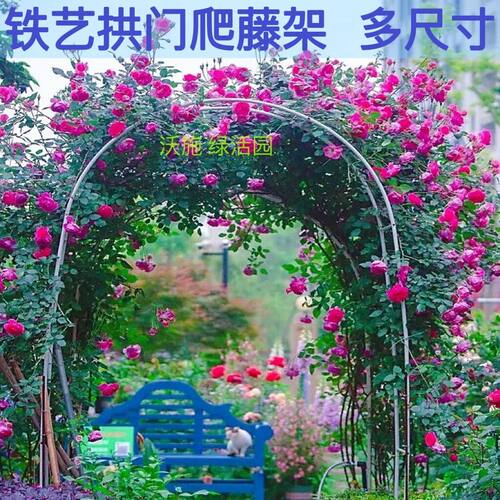 包邮铁艺拱形门花架爬藤架攀爬葡萄蔷薇月季庭院户外爬藤花支架 - 封面
