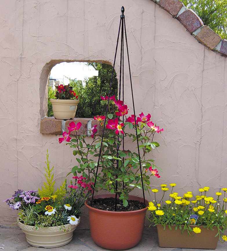 包邮2套包塑管爬藤架园艺花架庭院花园铁艺爬藤花架铁线莲龟甲龙