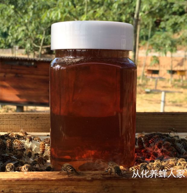 新鲜龙眼蜜纯天然蜂蜜 农家自产成熟纯蜂蜜 桂圆蜜无添加500g包邮在类目 传统滋补营养品, 蜂蜜中 - 来自Buy2taobao.com提供专业的淘宝代购服务