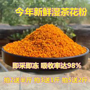 新鲜湿茶花粉 纯正 天然花粉  正品食用蜜蜂花粉未破壁自产500g