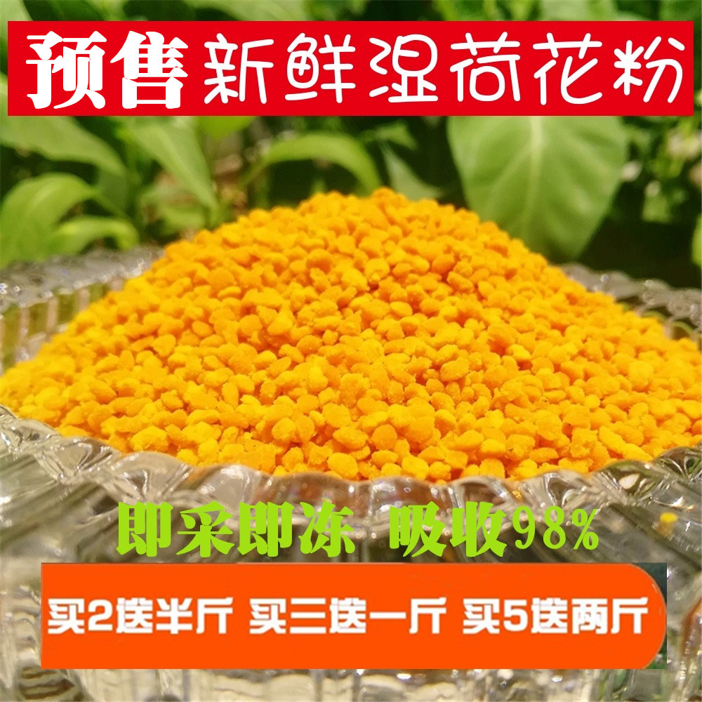 2025新鲜湿荷花粉纯天然正品500g食用蜂花粉农家非破壁花粉顺丰