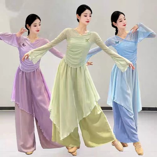 古典舞蹈服女飘逸身韵纱衣中国舞民族舞蹈服装基训形体练功服套装