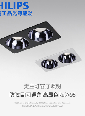 LED深杯防眩光格栅斗胆长双头天花孔洞客厅嵌入式cob全光谱筒射灯