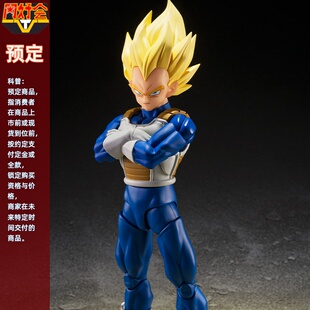 同好会定金 万代 SHF 龙珠 比达 贝吉塔 达尔 危险的自尊心 可动