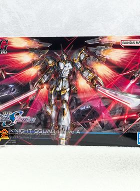 现货 万代 HGCE HG 高达seed 剧场版 黑骑士小队 神鸟 迦楼罗