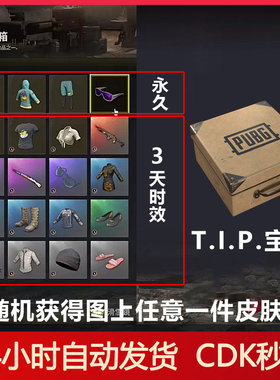 PUBG绝地求生TIP宝箱滑雪镜箱子鸡警卫衣大吉大利皮肤CDK兑换码