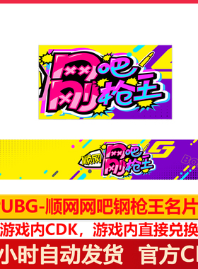 PUBG名片绝地求生顺网网吧刚枪王名片吃鸡静态名片永久激活码CDK
