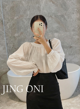 白色灯笼袖网纱衬衫长袖上衣气质2025年春秋季新款女衬衣短款法式