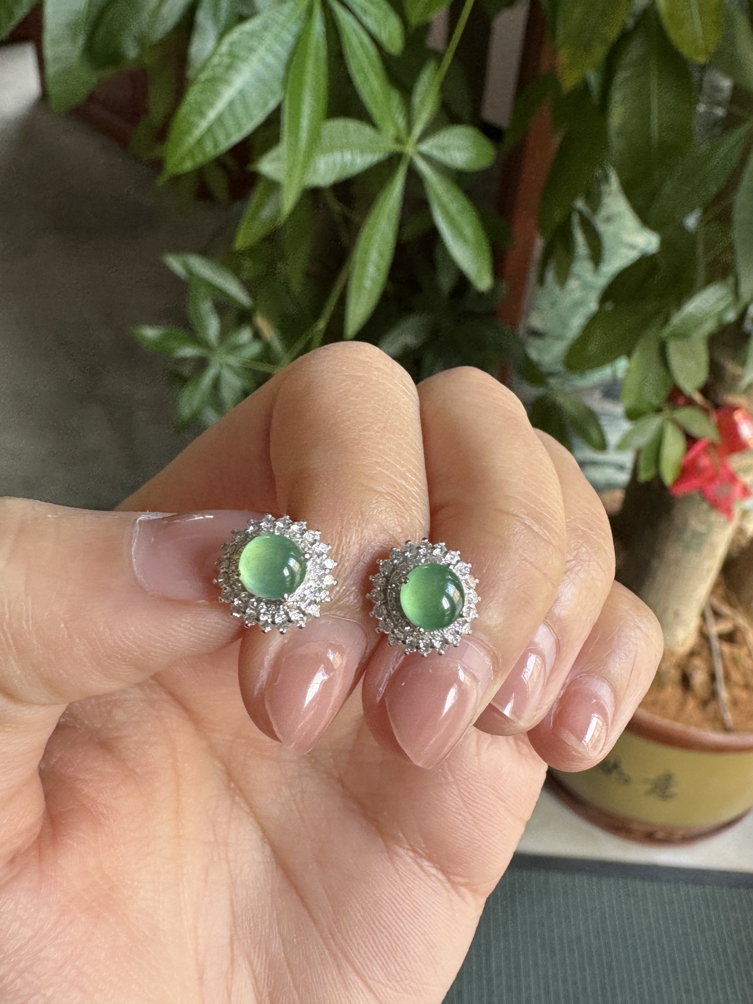 缅甸天然A货翡翠冰种葡萄肉蛋面耳钉,珠宝/钻石/翡翠,翡翠裸石/蛋面,淘宝优惠券,粉丝福利购,淘宝优惠卷