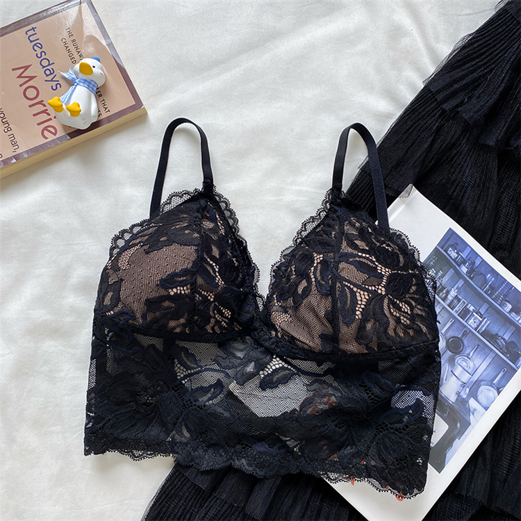 New French lace underwear in spring