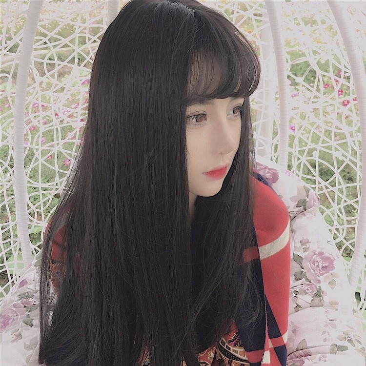 Perruque Long cheveux raides - Ref 2607557 Image 1