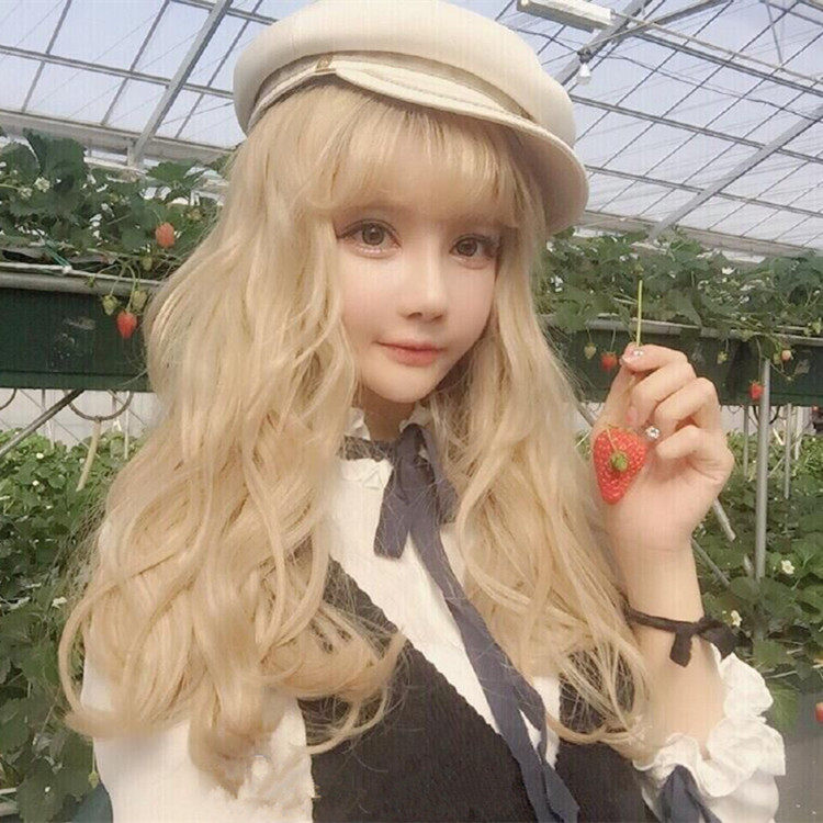 Perruque Les cheveux longs - Ref 2611511 Image 1