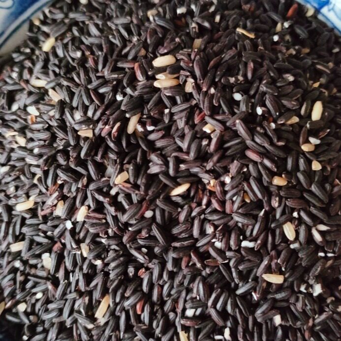 健康非转基因黑米500g袋装墨江紫米农家五谷杂粮粗粮