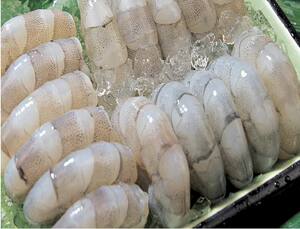 生鲜虾仁青虾仁手剥去虾线冷冻新鲜虾仁500克