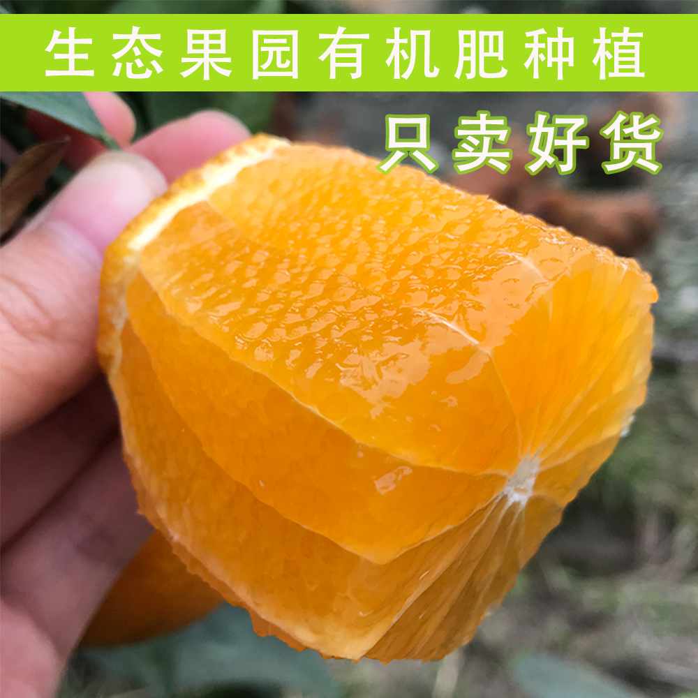 怡然天橙9斤眉山爱媛果农直销