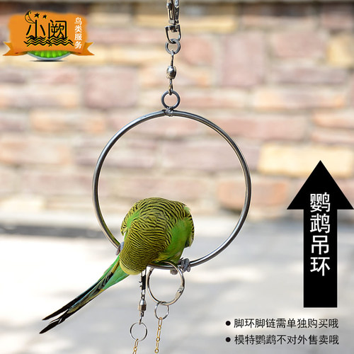 用品用具不锈钢脚链鸟笼配件秋千