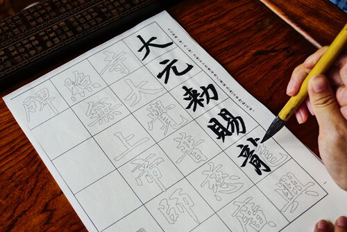 赵体胆巴碑全文男生女生半熟宣