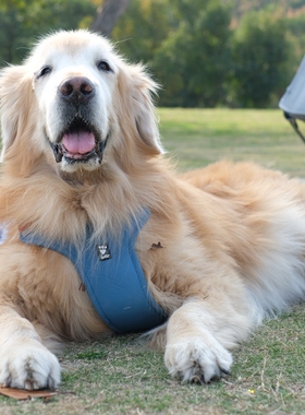 金毛七宝家 芬兰Hurtta悍拓高能周末勇士耐用保暖狗狗胸背