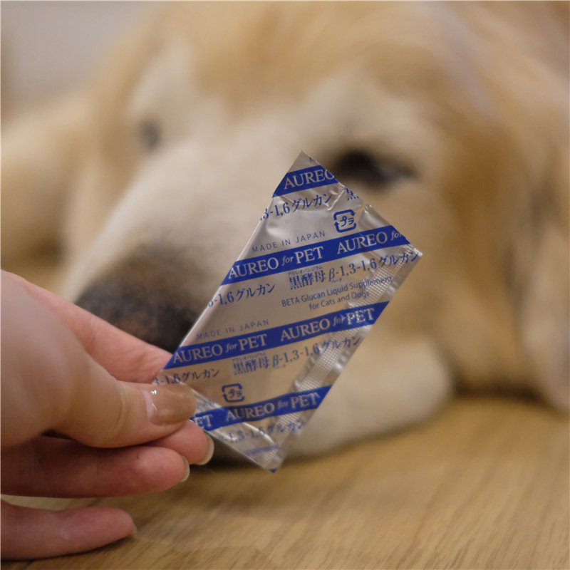 AUREO黑酵母高龄犬猫增强免疫力