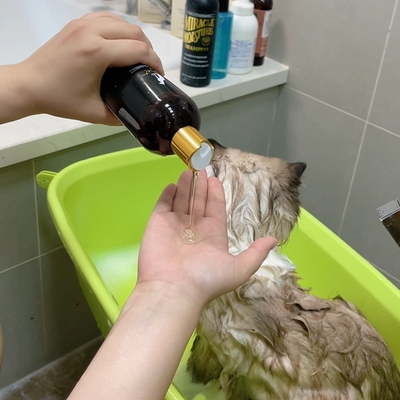 Christensen猫咪专用去油蓬松