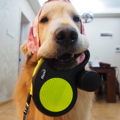 醒目出行FLEXI可伸缩顺滑牵引绳