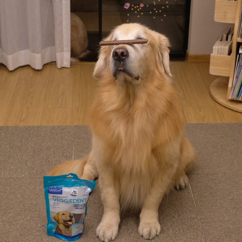 清洁牙齿清新口气洁齿片维克