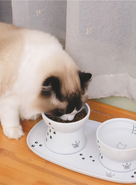 日本Necoichi猫壹快乐食光高脚陶瓷食碗平口碗猫碗刻度水碗易清洁