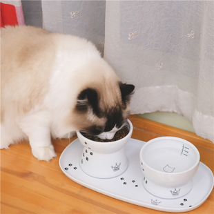 日本Necoichi猫壹快乐食光高脚陶瓷食碗平口碗猫碗刻度水碗易清洁