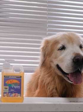 澳洲PLUSH PUPPY天然草本金毛拉布拉多法斗柯基泰迪洗毛液沐浴液