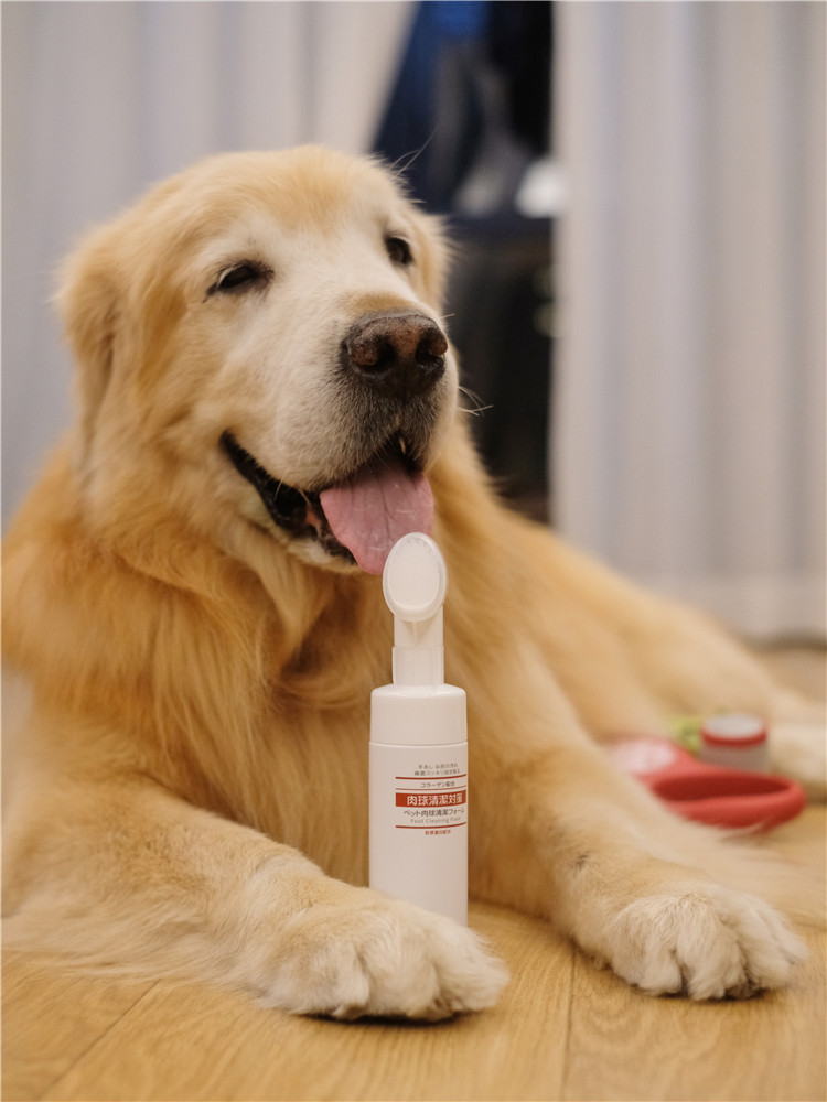 金毛七宝家 Kojima宠物犬猫脚掌爪子清洁抑菌干洗洁足泡沫 保湿