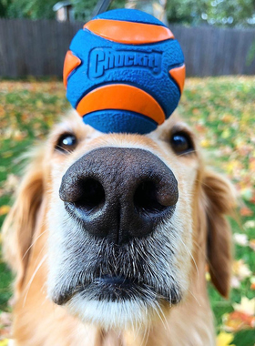 金毛七宝家 美国 CHUCKIT! 巡回互动玩具 发声弹力橡胶球 边牧