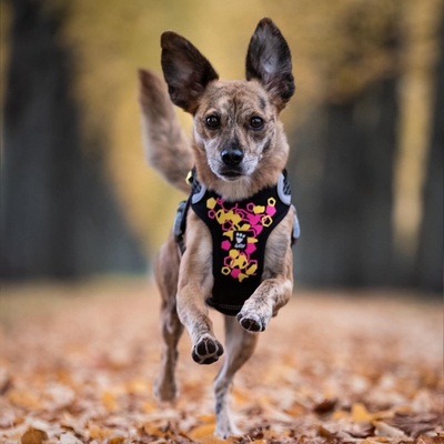 hurtta狗胸背带透气带反光防挣脱