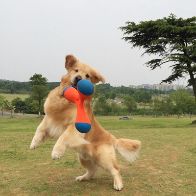 可浮水安全不易吞飞盘