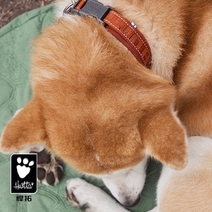 金毛七宝家 Hurtta悍拓ECO狗狗可调节半P休闲项圈 柔软内衬防挣脱