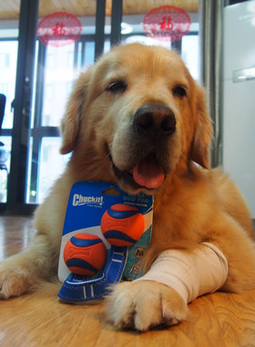 金毛七宝家推荐美国CHUCKIT！经典篮球拉扯双球互动玩具 橡胶球