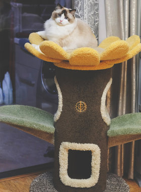 实木稳重猫爬架仙女猫树猫城堡
