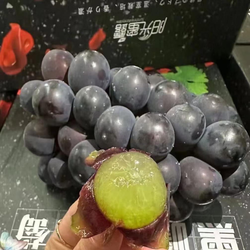 日本品种阳光蜜露姬珠葡萄猫眼巨峰大颗粒甜蜜4斤猫眼巨峰顺丰