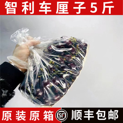 现货智利空运进口桑提娜车厘子4J新鲜水果黑珍珠大樱桃5斤礼盒装
