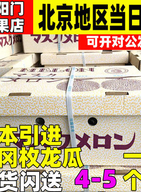 日本进口水果孕妇高档网纹蜜瓜