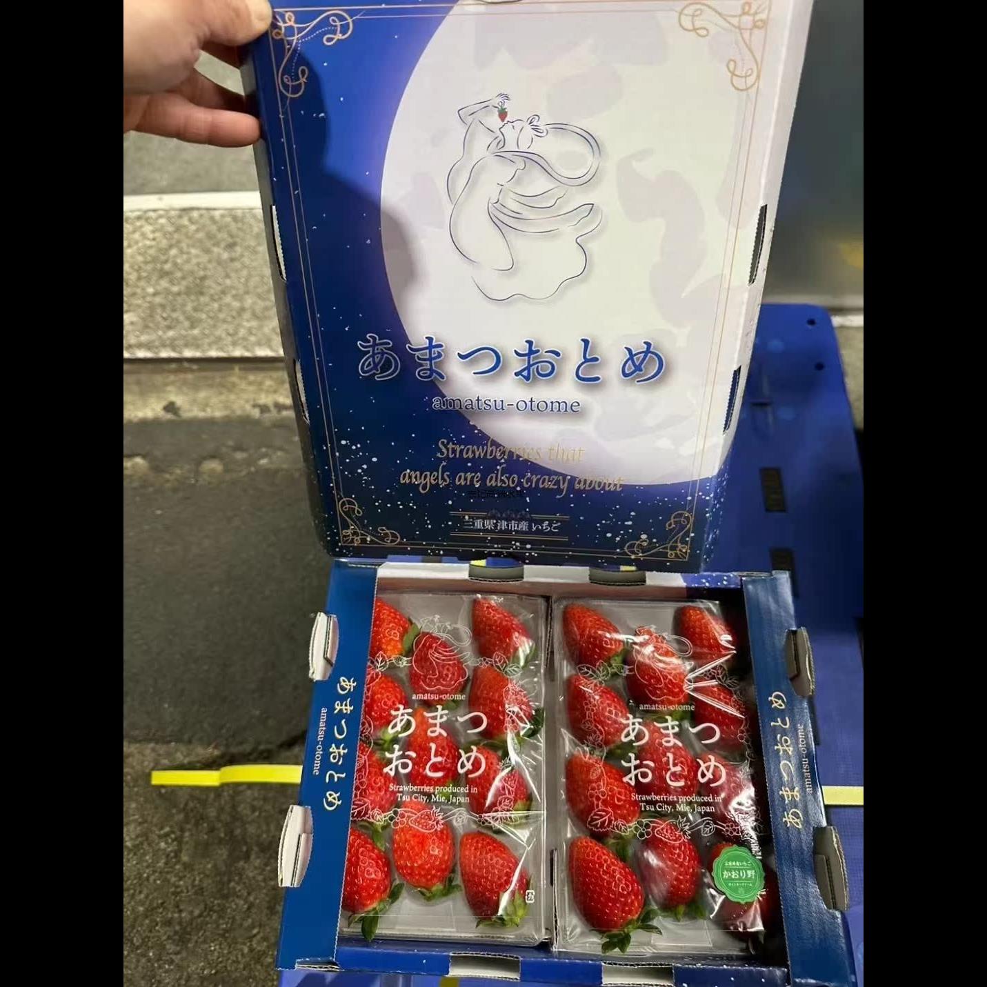 天女三重品种日本宝宝奶油草莓节日礼盒红·孕妇水果送礼县草莓