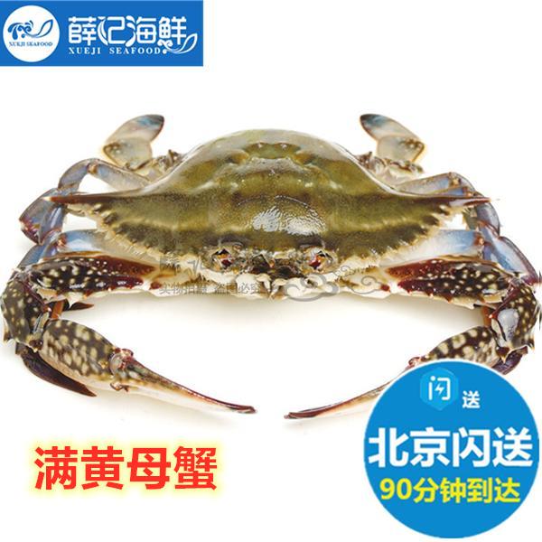 5-7两1只北京闪送鲜活满黄沙母蟹母梭子蟹膏蟹满肉螃蟹海鲜海蟹飞